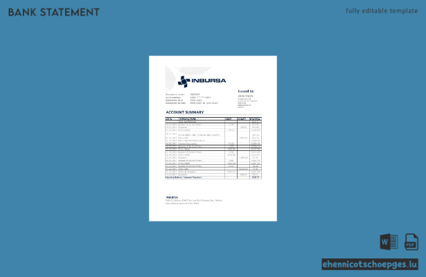 Beispiel für einen Kontoauszug der mexikanischen Inbursa-Bank (Excel-Vorschau)